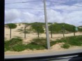 /album/meus-caminhos/a195839-349405205139326-949040484-n-jpg/