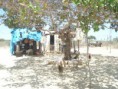 /album/a27-de-setembro-de-2011/a293679-174434902636358-648576314-n-jpg/
